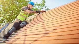 Best Roof Moss and Algae Removal  in Dunbar, SC