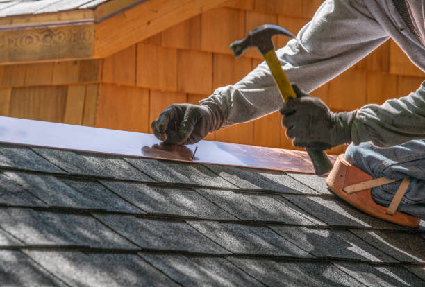 Best Metal Roofing Installation  in Dunbar, SC