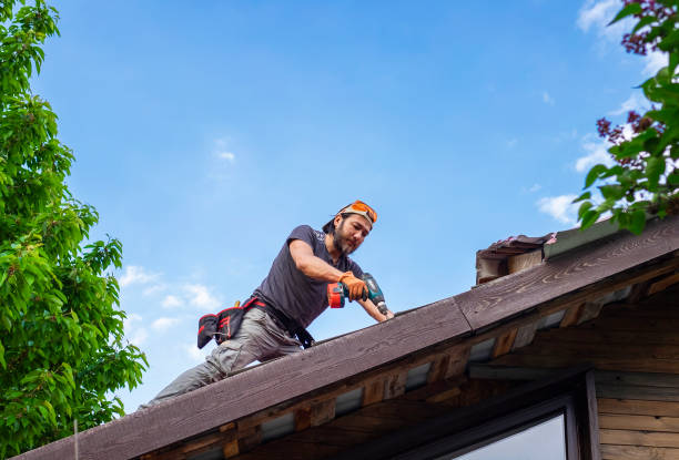 Best Emergency Roof Repair Services  in Dunbar, SC